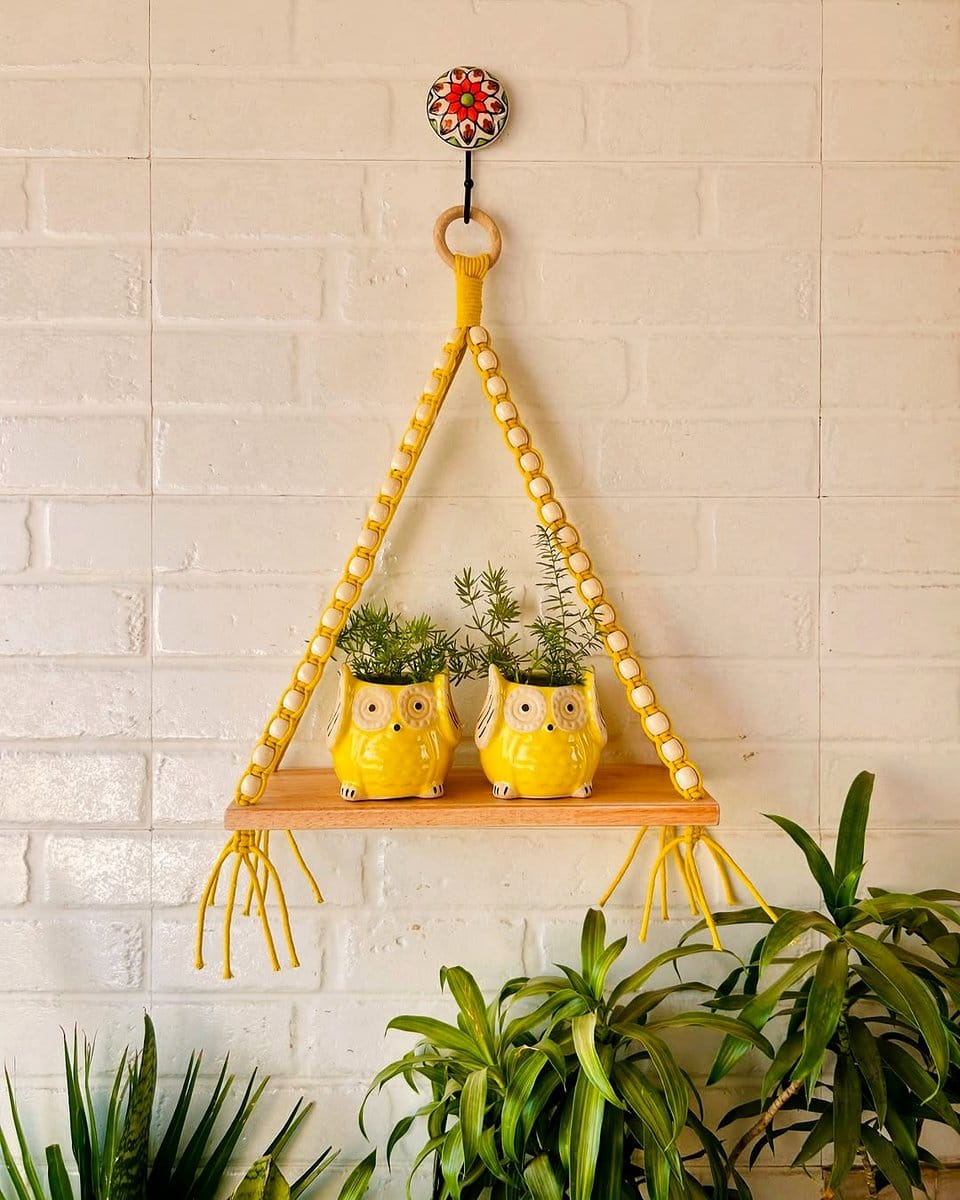 macrame hangers with colorful pots