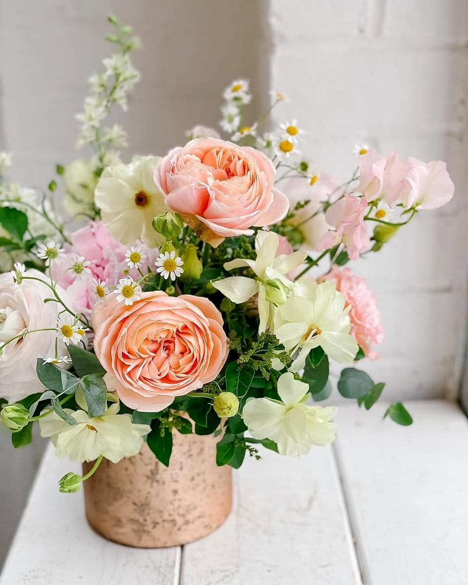 chamomile flowers in vase