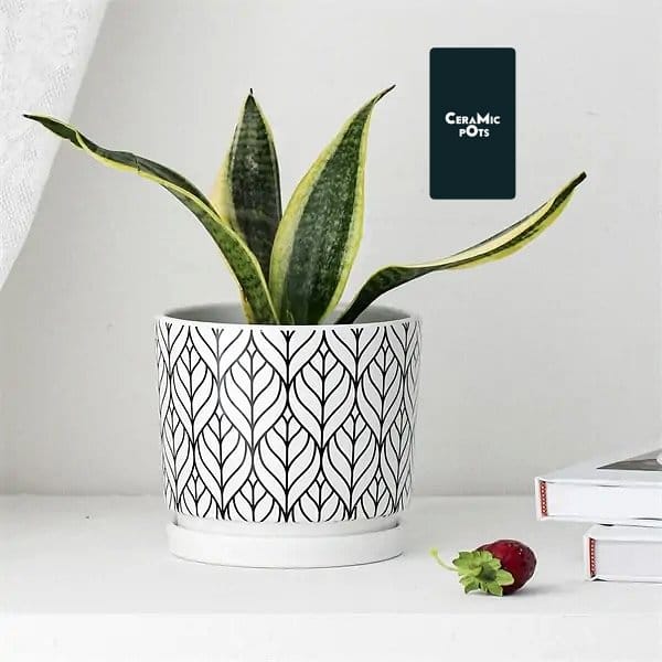 black and white ceramic pots