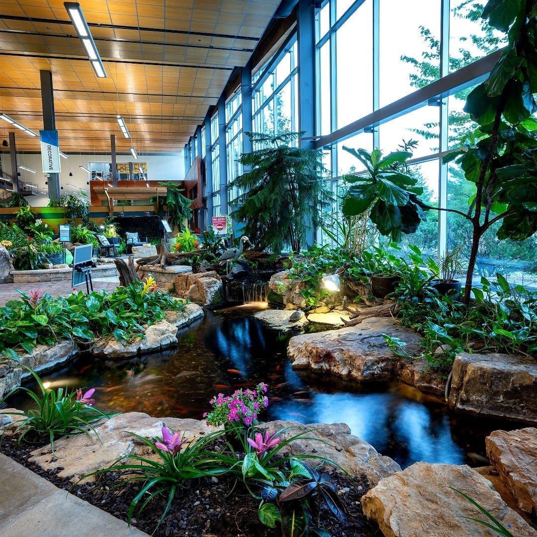 water plant sculpture in garden pond
