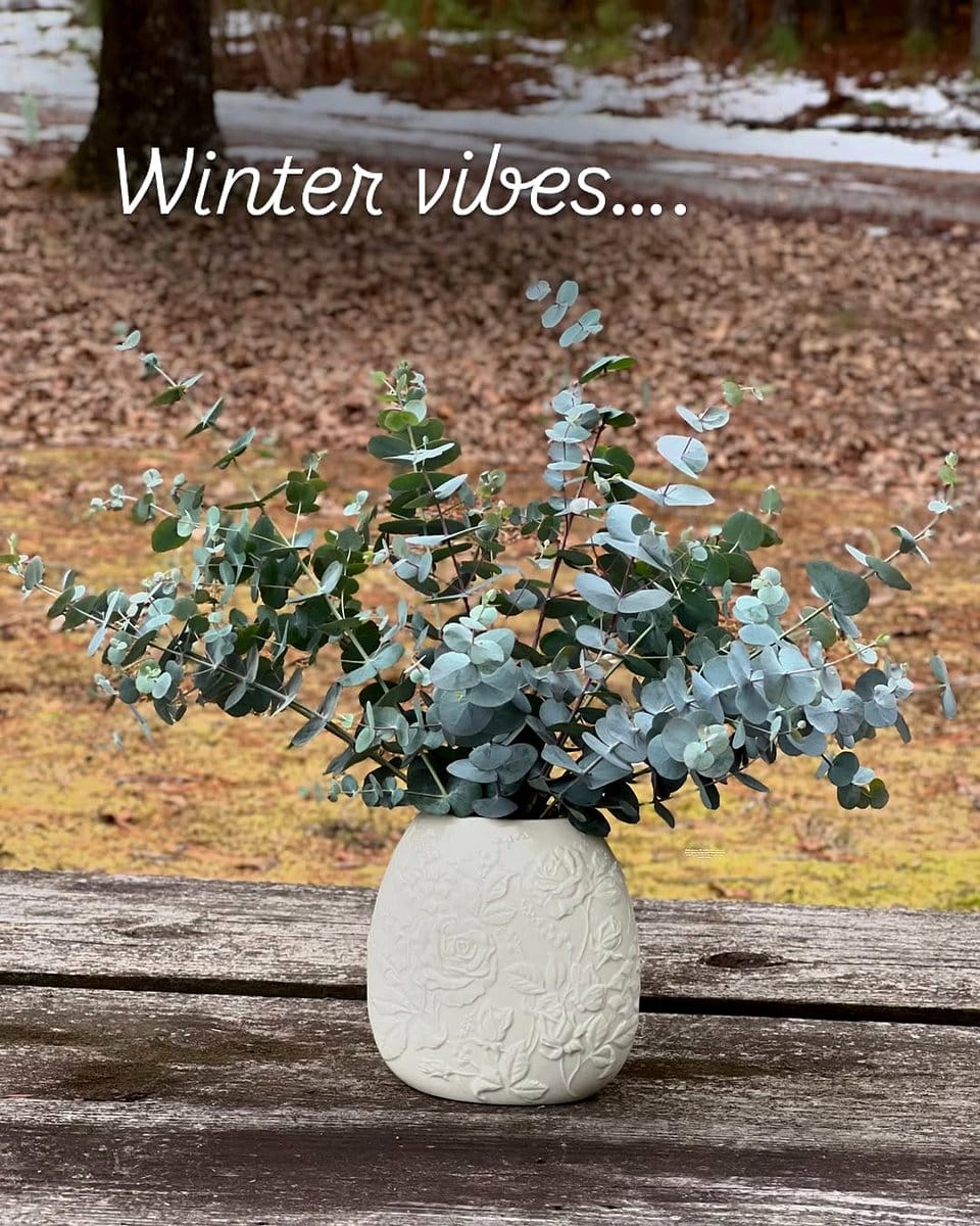 eucalyptus branches in a vase
