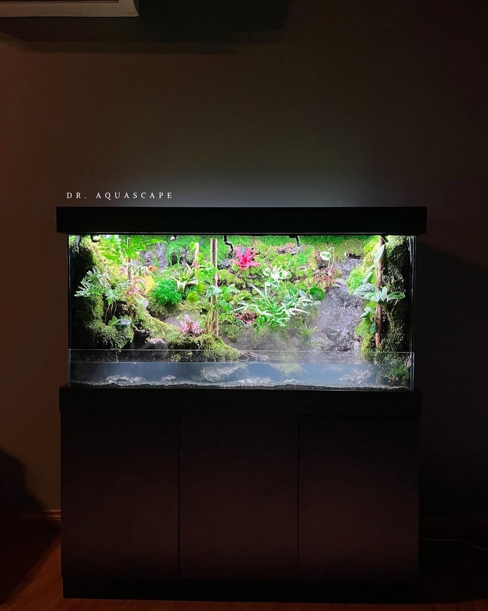large fish tank in office