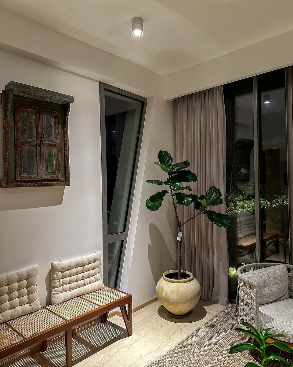 Red-edge dracaena in living room