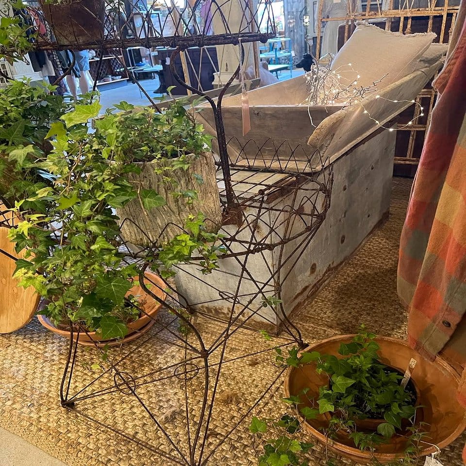 Antique plant stand with potted herbs