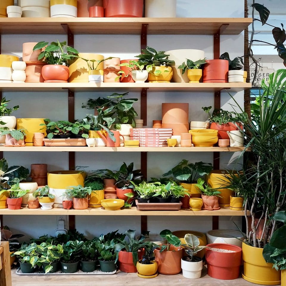 Chic monochrome planter shelf with succulents