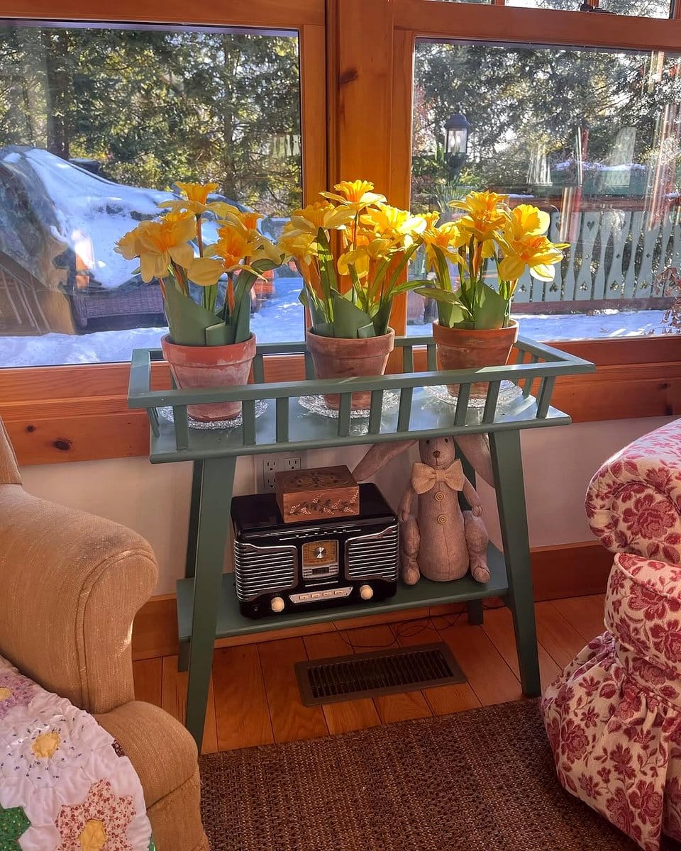 peace lily on rustic bookshelf