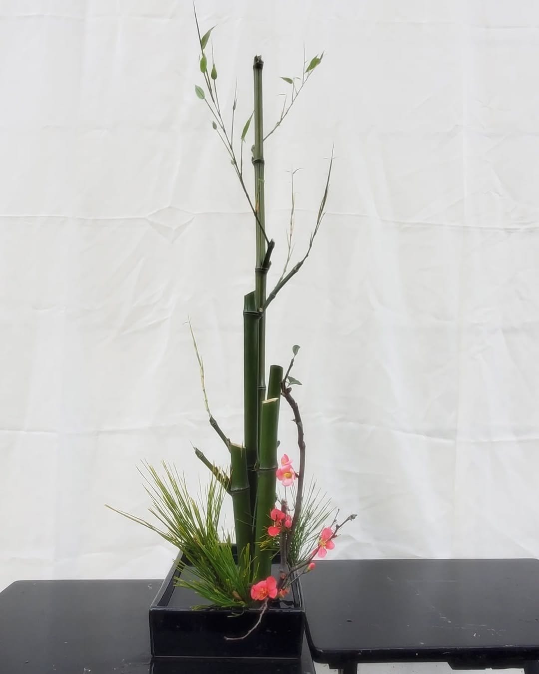 Tranquil bamboo in minimalist stone pot