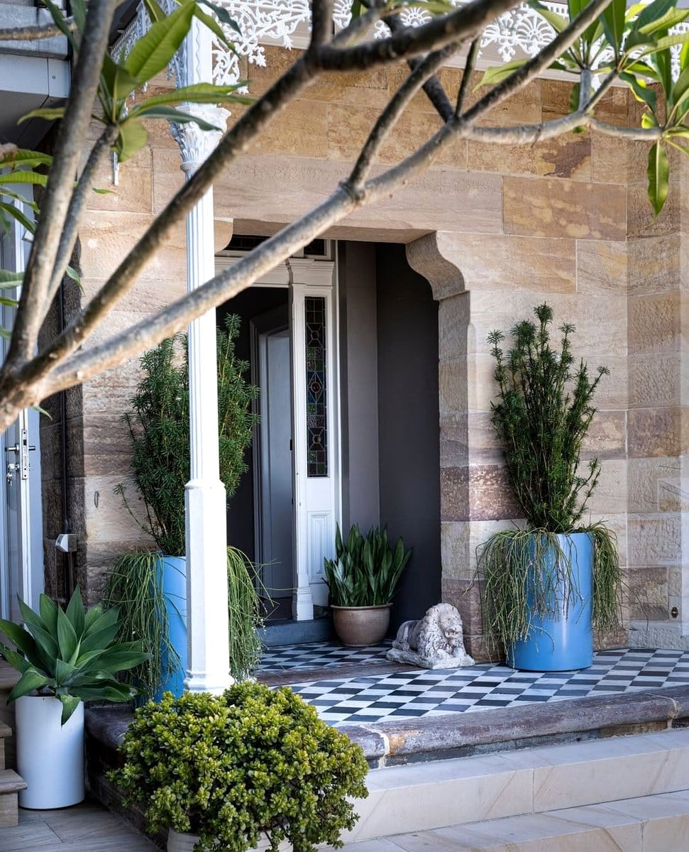 plants in matching blue pots