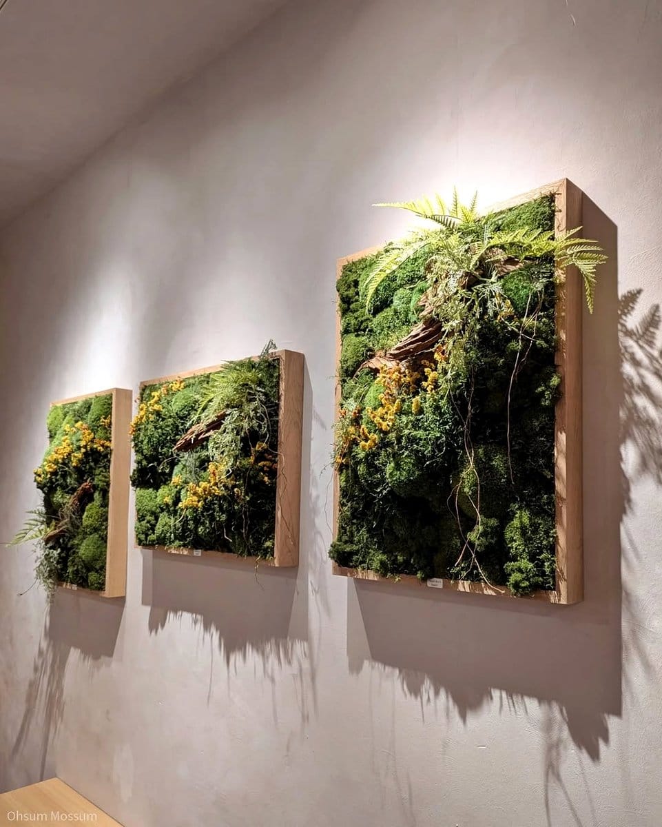 outdoor plants casting indoor shadows