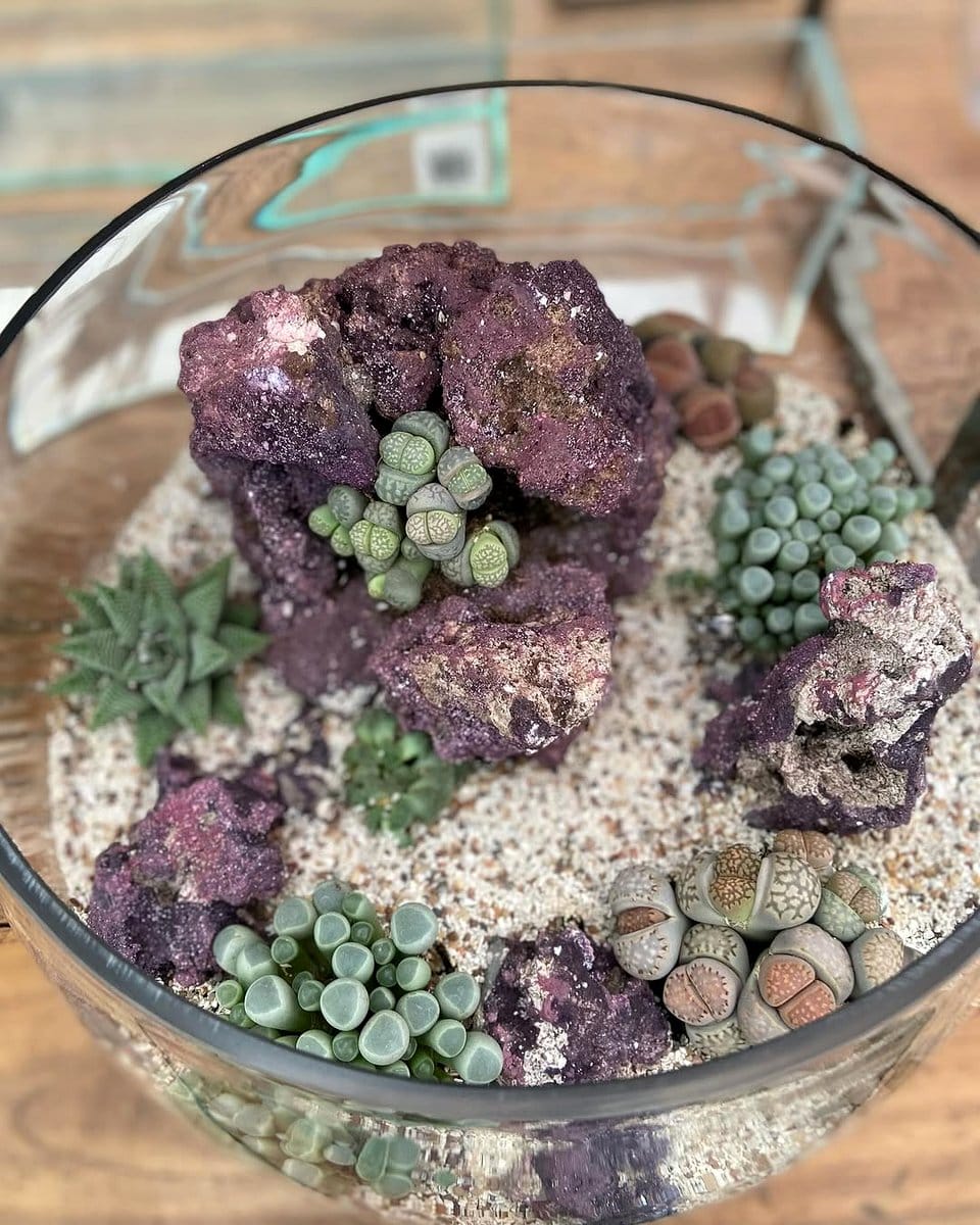 Stunning crystal geode terrarium with succulents