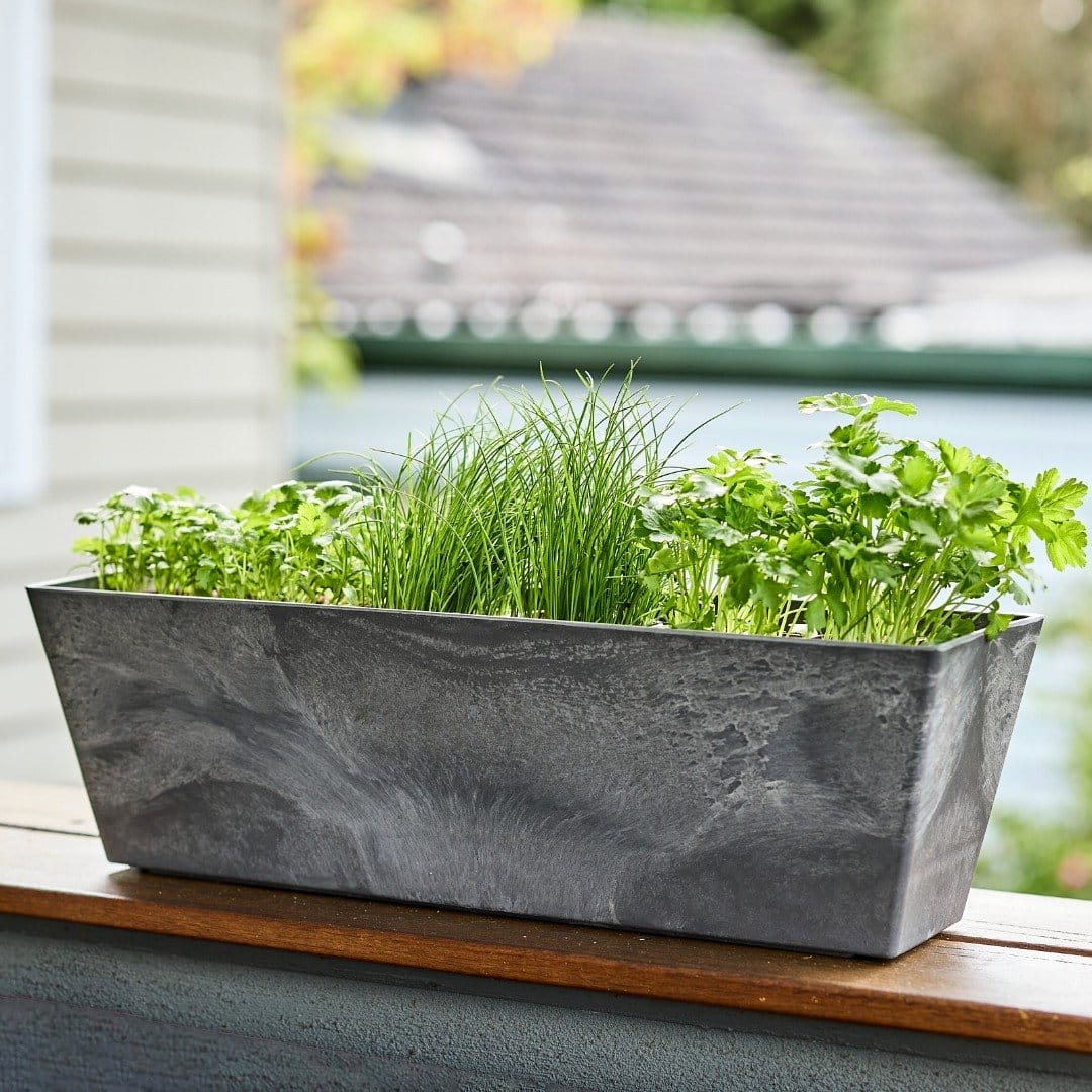 Matching herb planters on a kitchen windowsill