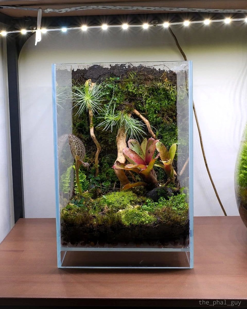 indoor jungle stacked trunks