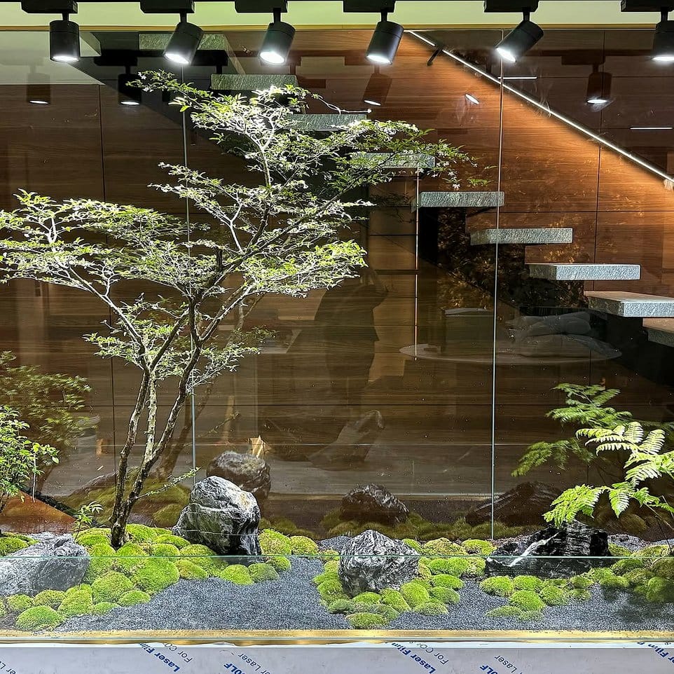 Zen garden with Siberian Fur and moss