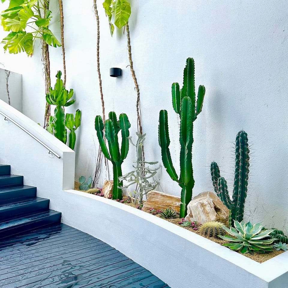 Artistic sand art plant terrace setup