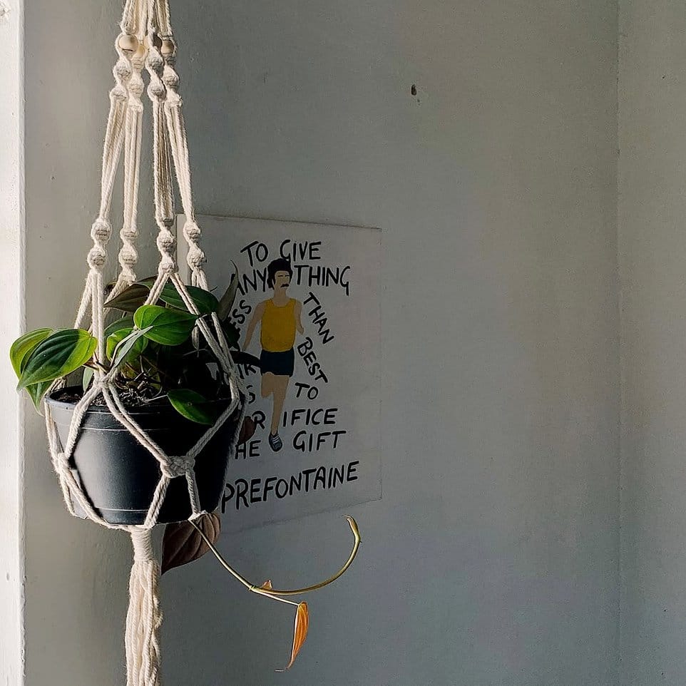 Twisted rope plant hanger with greenery