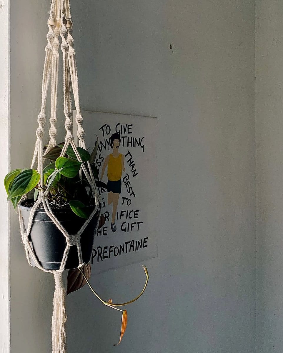 macrame plant hangers with trailing plants