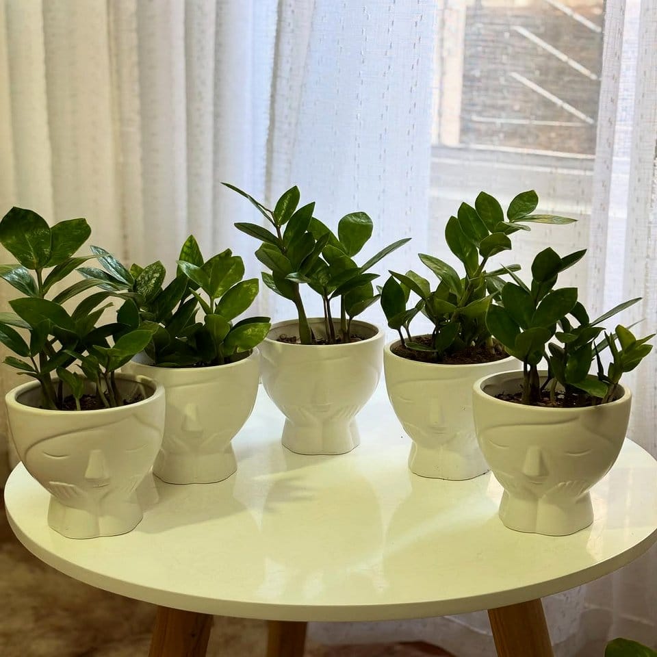 Stacked cube plant pot arrangement