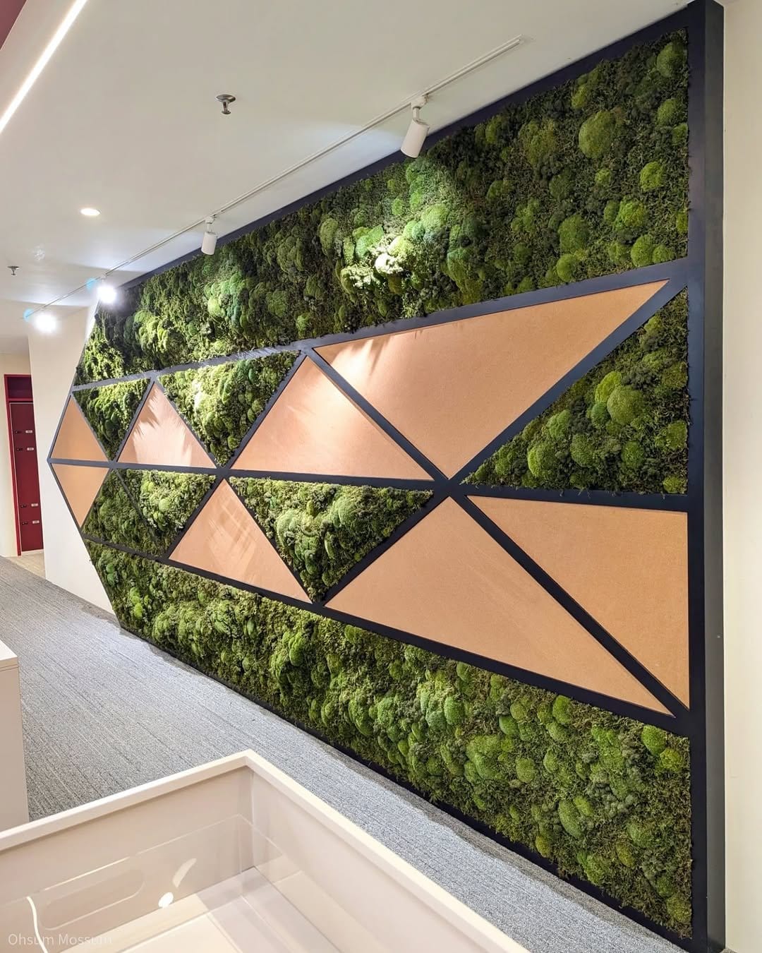 Textured moss in geometric pattern