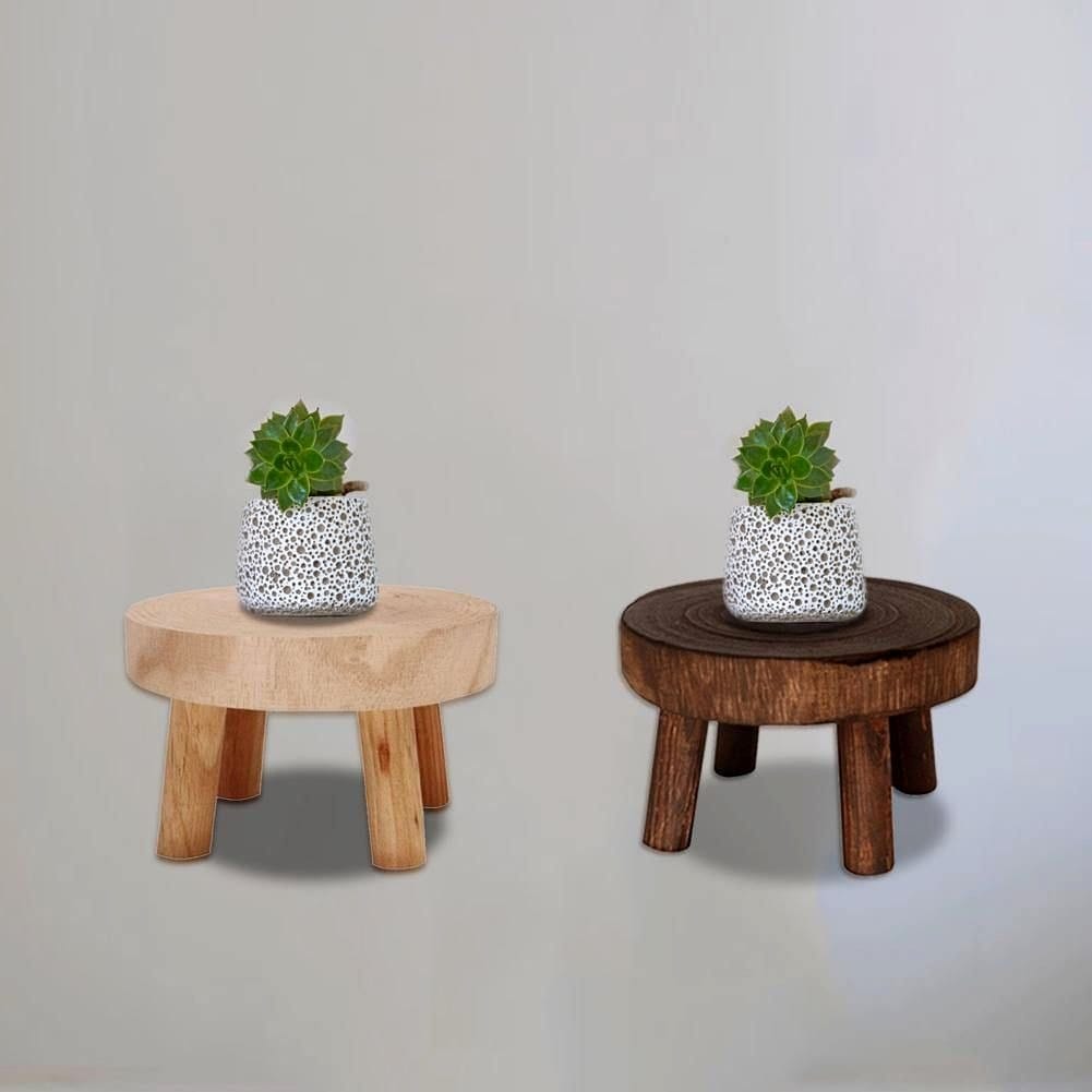 tiered plant stand with succulents