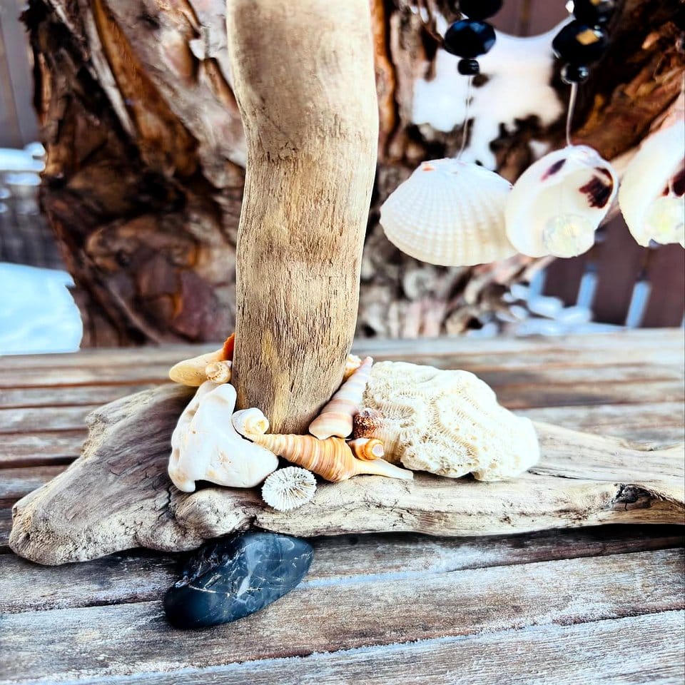 Driftwood and seashell plant hanger