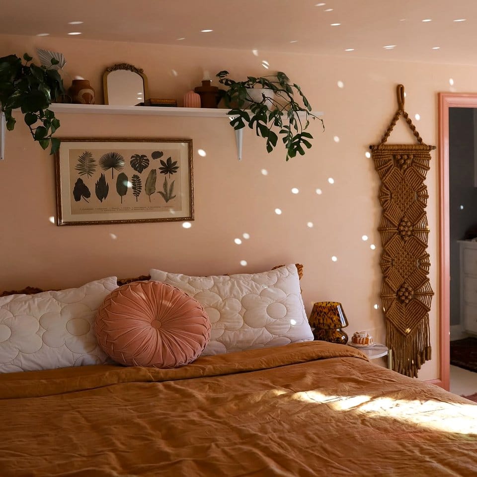 Styled bookshelf with diverse potted plants