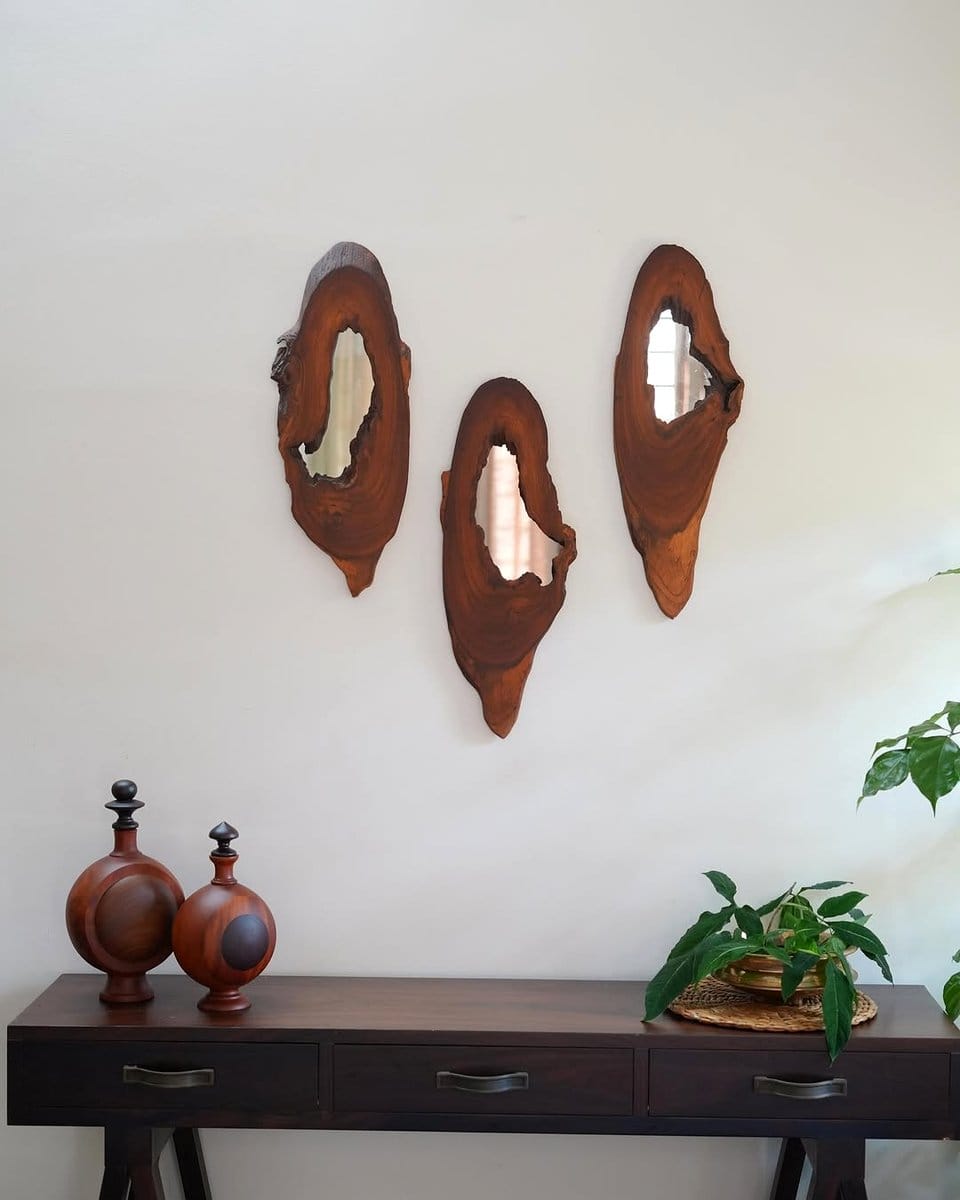 wall gallery of mirrors and plants