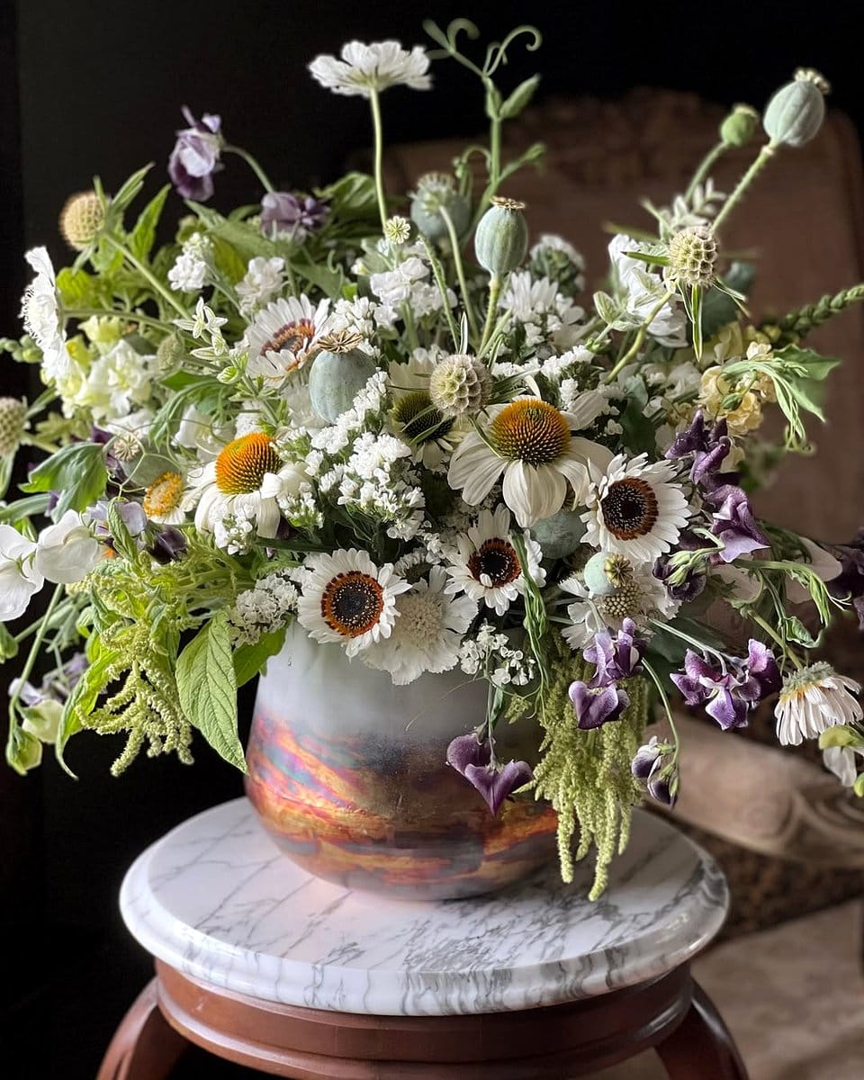 echinacea flowers with sweet alyssum