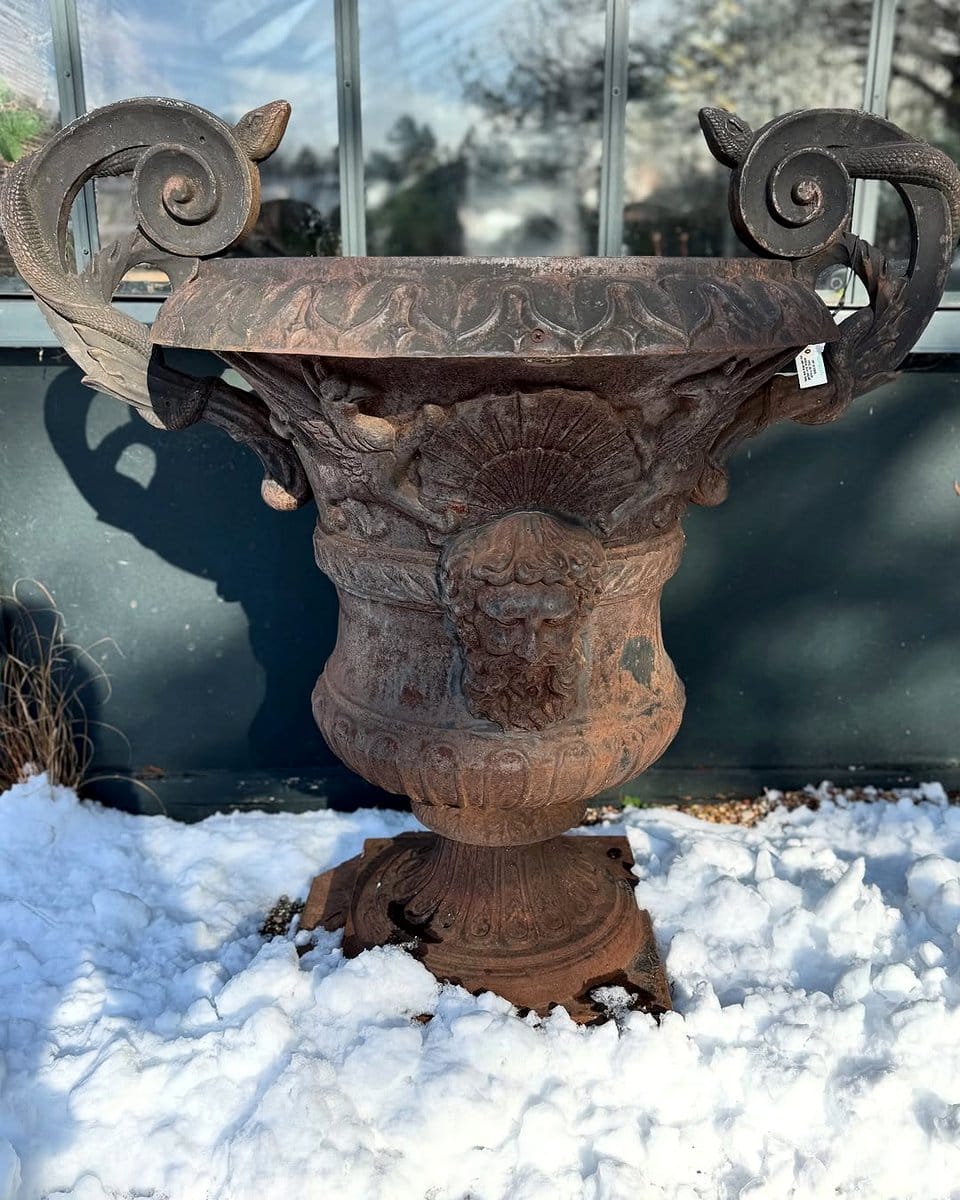 low-maintenance plants in cast iron urn