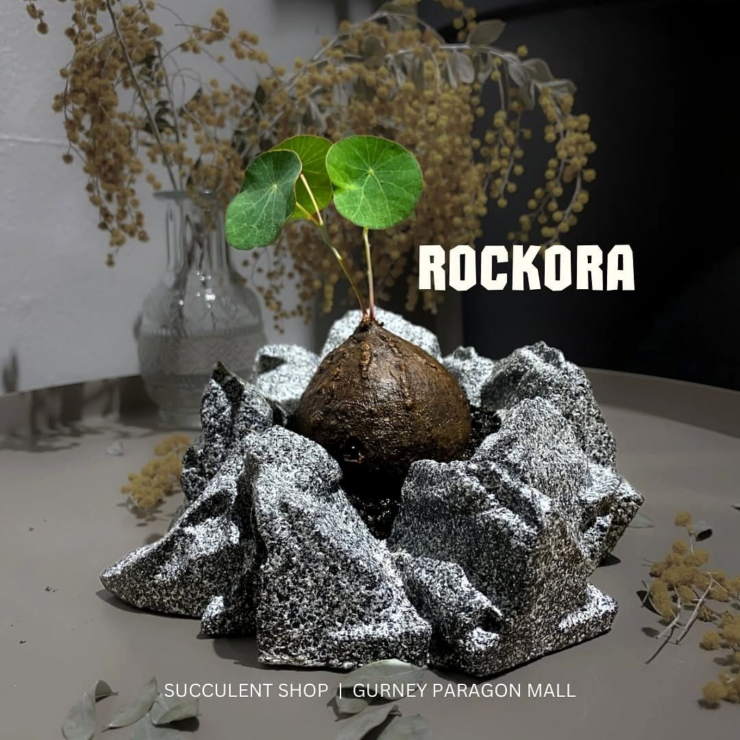 Zen waterfall with lava rocks