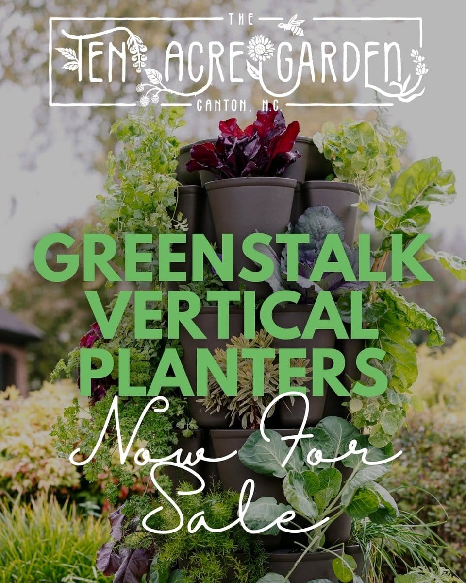 vertical garden with colorful pots