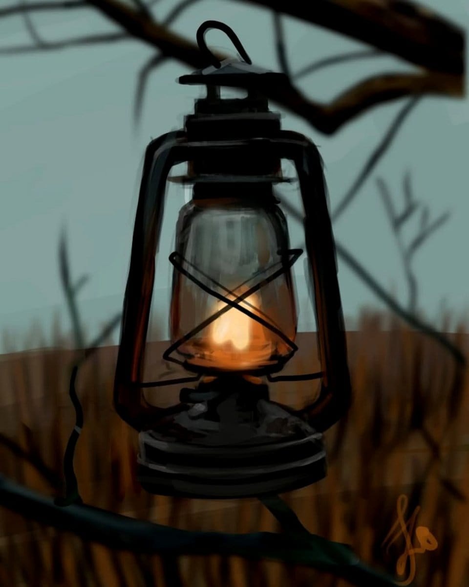 hanging lanterns in tree branches