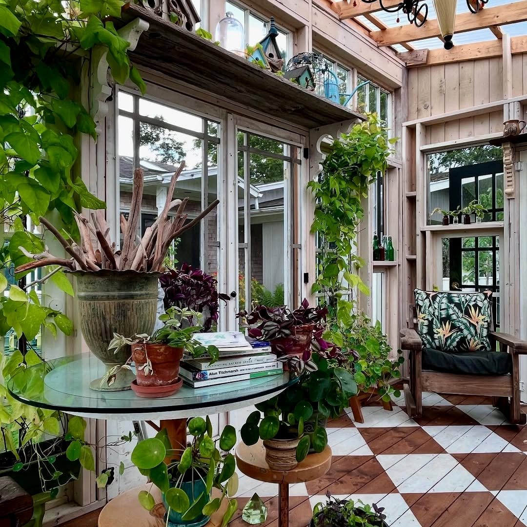 driftwood plant trellis with climbing plants