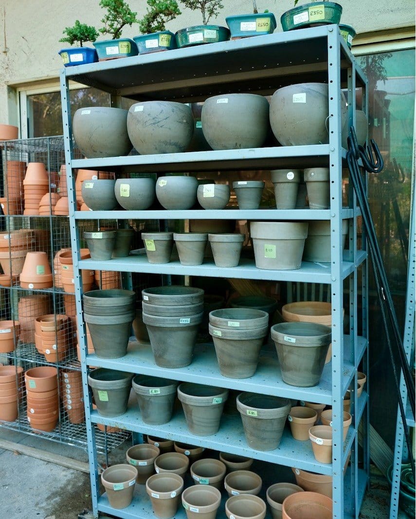 ladder with terracotta planters and herbs