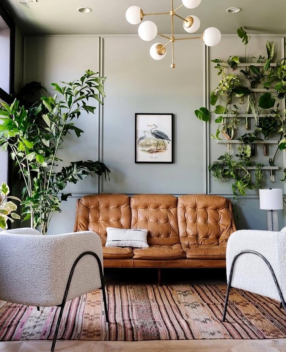 zz plant in a minimalist study