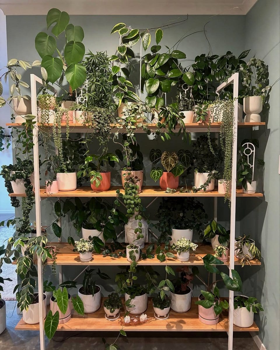freestanding plant wall with ivy