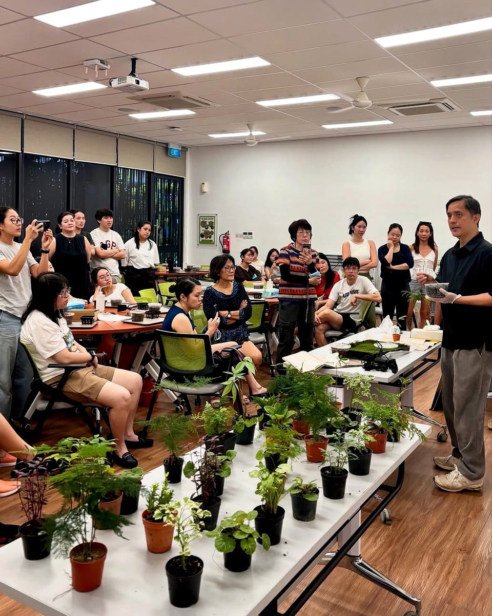 people attending kokedama workshop