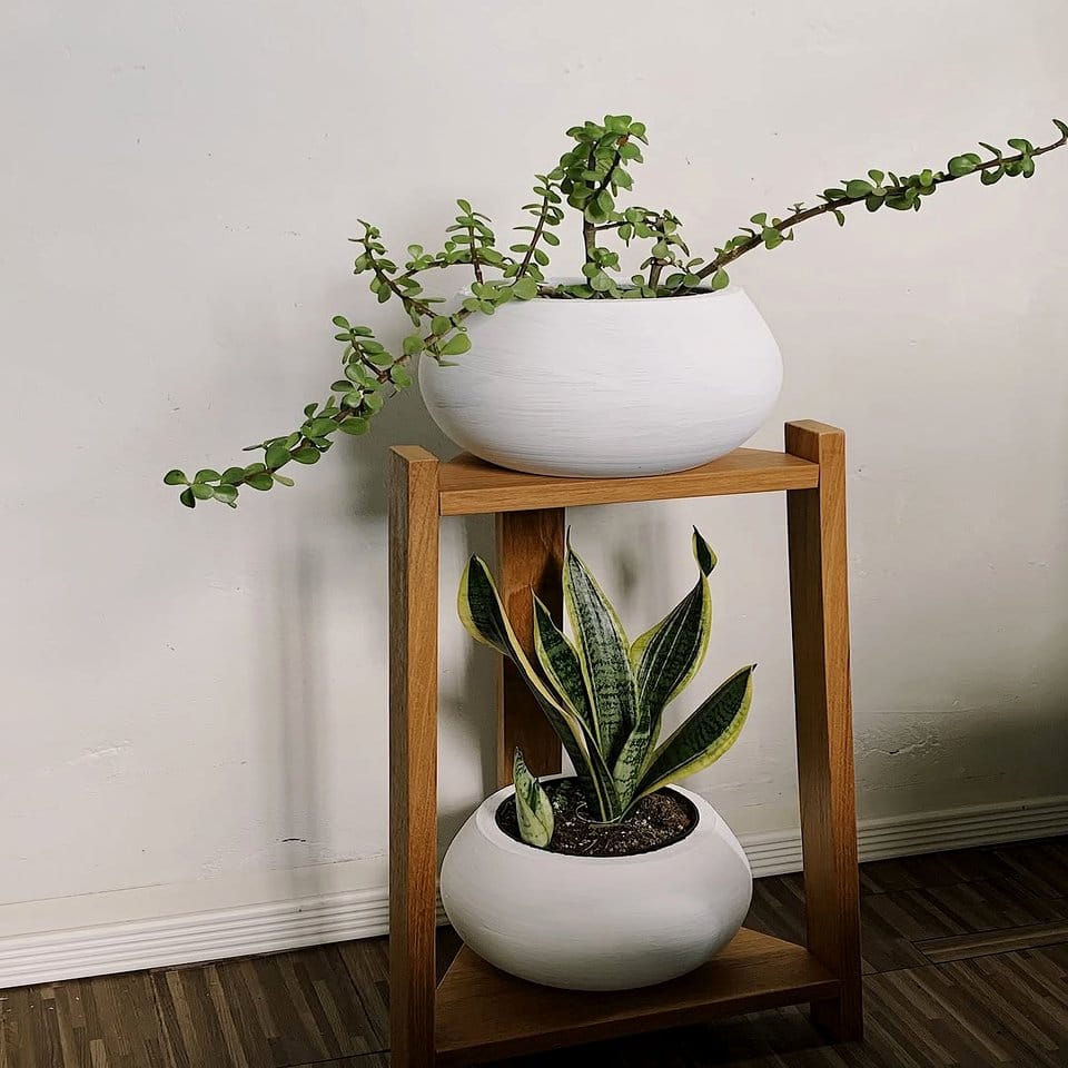 Sunlit rattan shelf with potted herbs