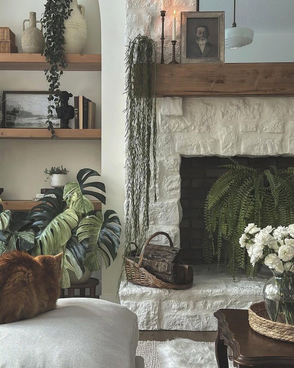 Calathea on a rustic fireplace mantel