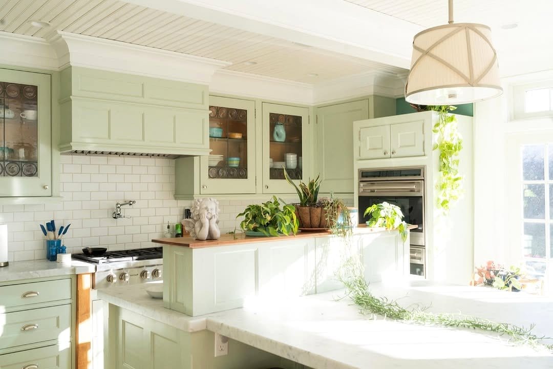mint plants on kitchen counter