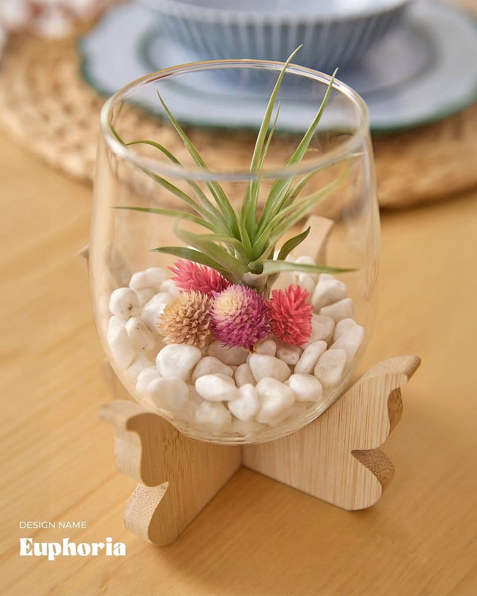 DIY planters on shelf