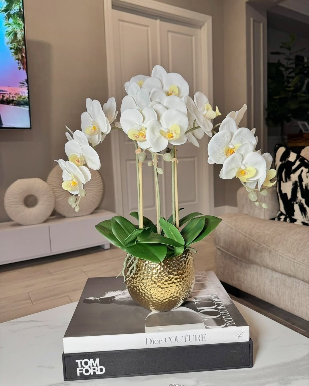 Delicate orchid in decorative vase