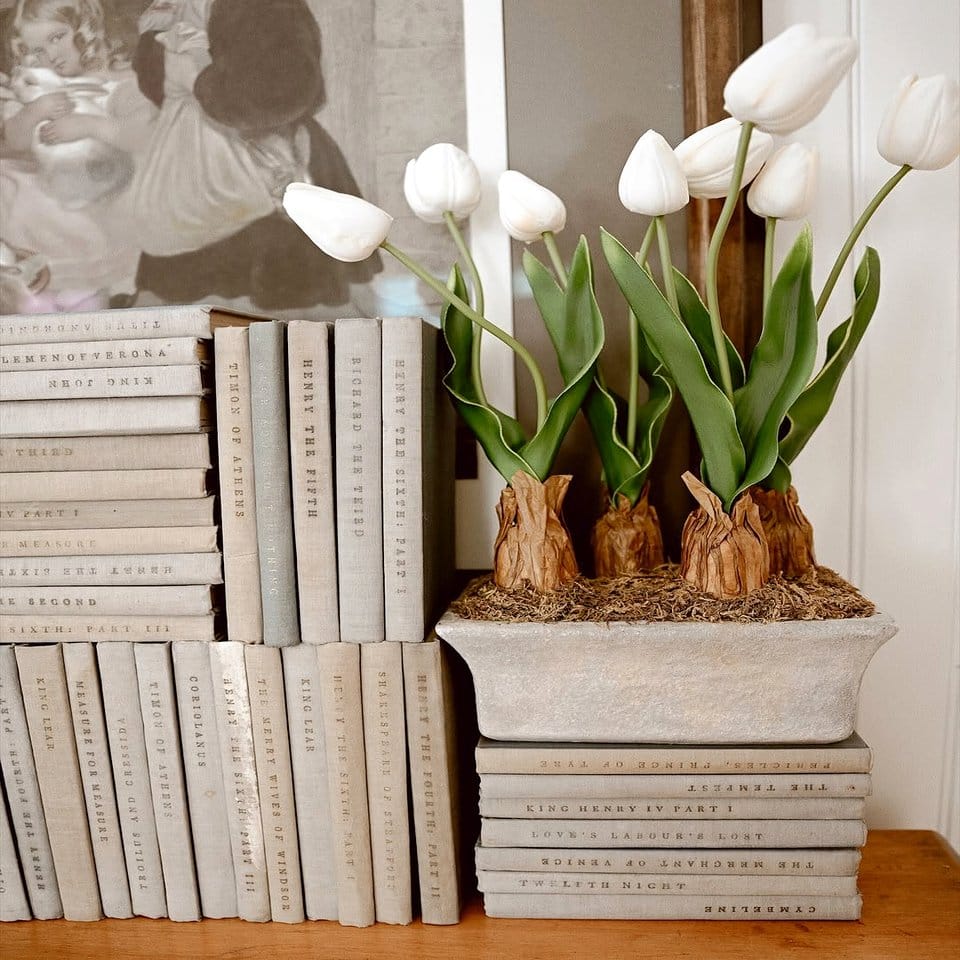 Rustic vintage suitcase with farmhouse plants