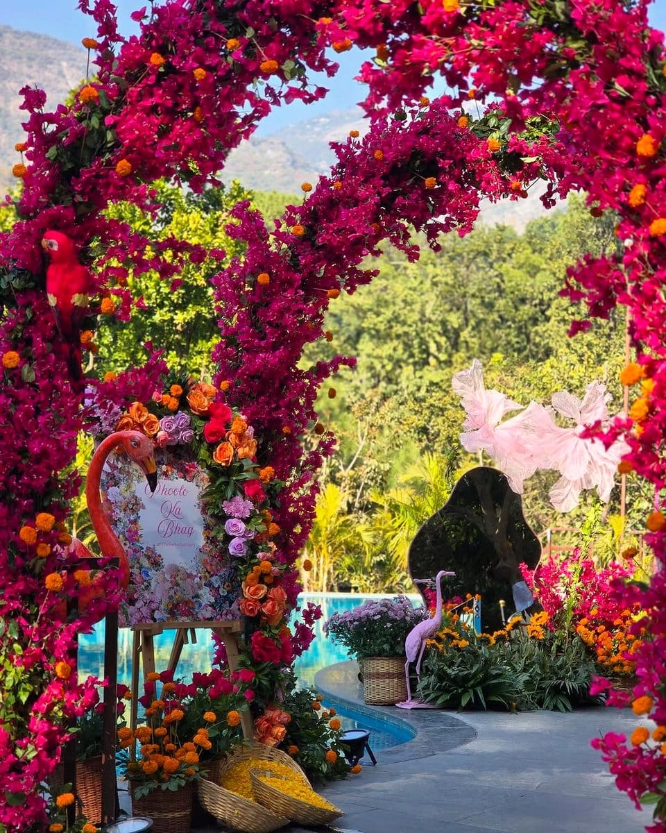 bougainvillea cascading over archway