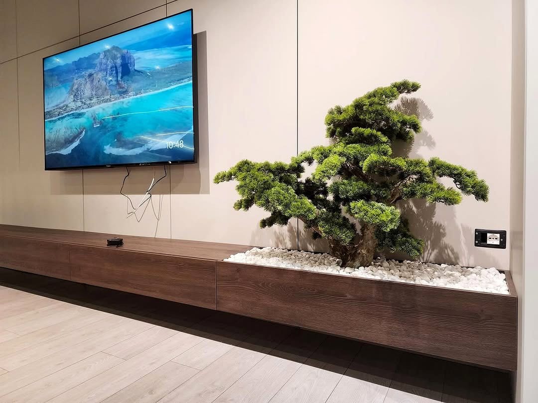 bonsai and bamboo in bay window