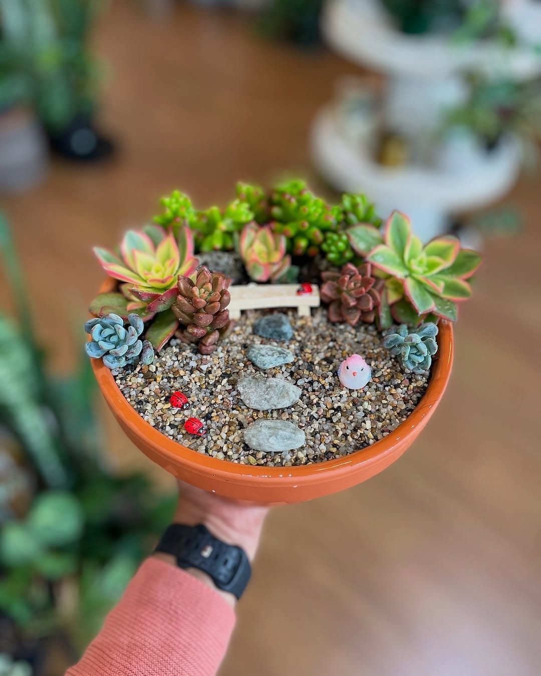 Serene rock garden with succulents
