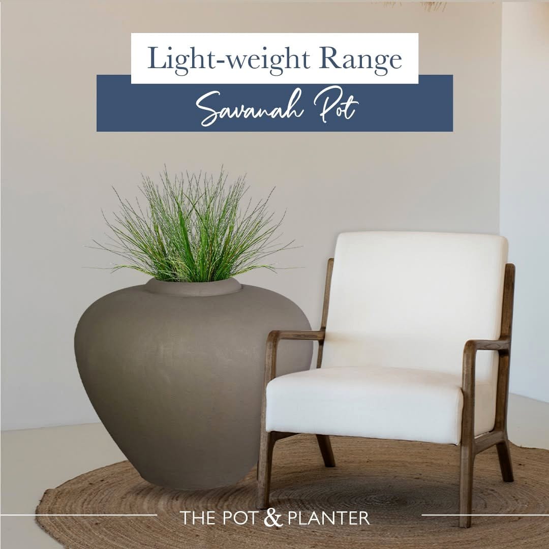 Light wood plant stand with minimalist plants