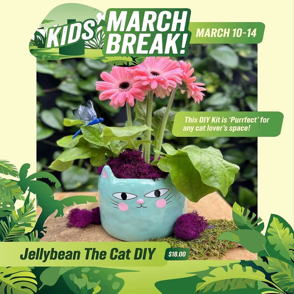 Unicorn-themed plant pots with magical designs