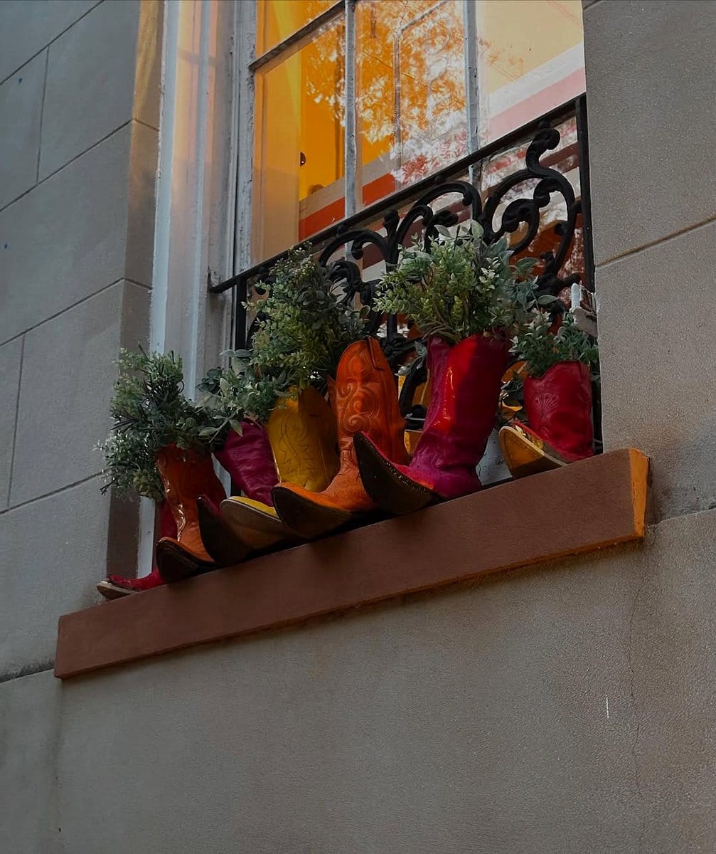 boots mounted on wall with plants