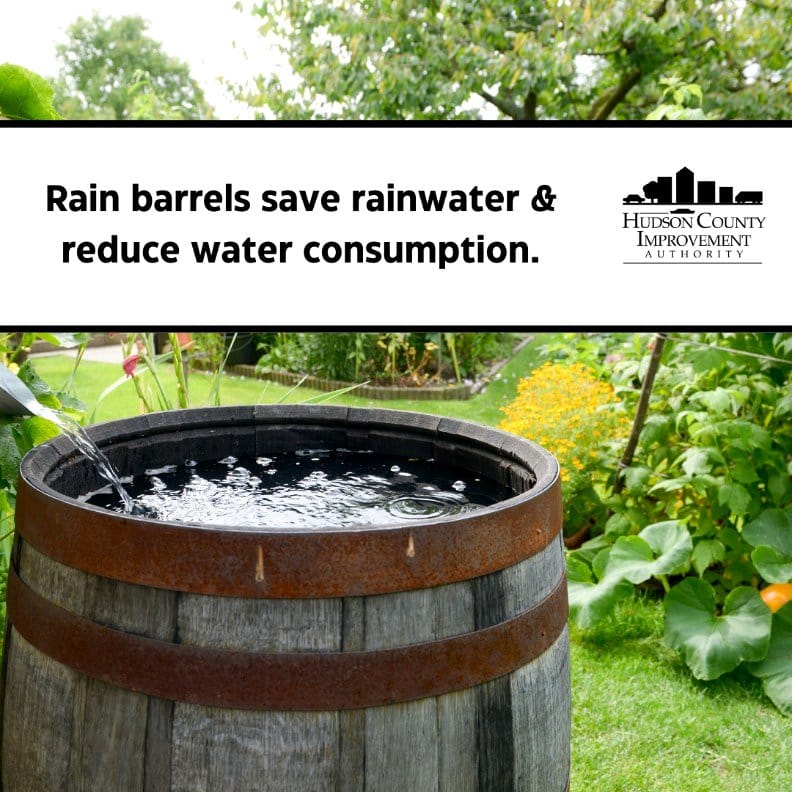 rainwater collection barrel