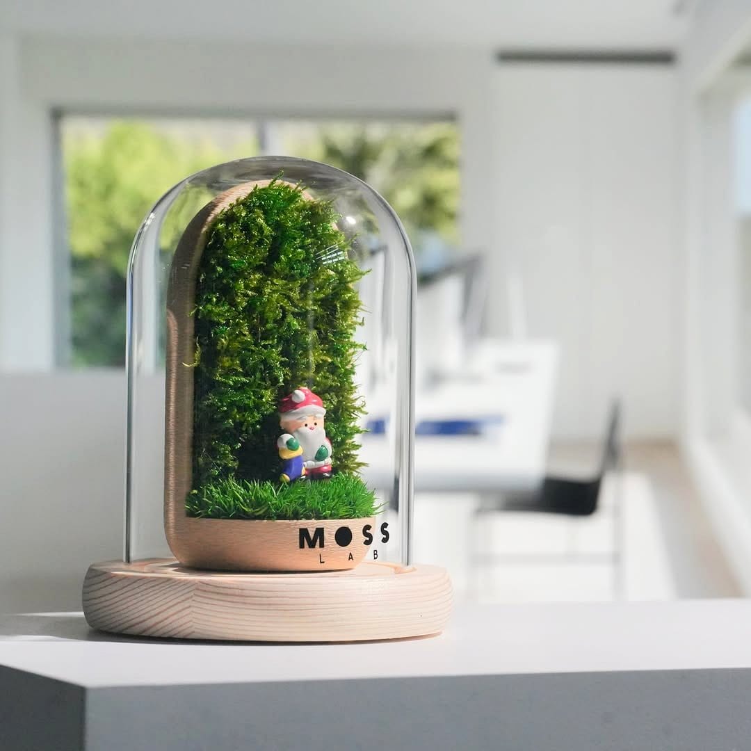 Elegant glass cloche with moss and ferns